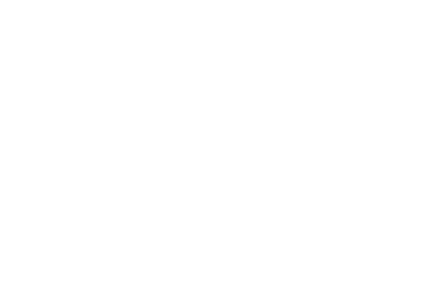 Logo ALAPPE